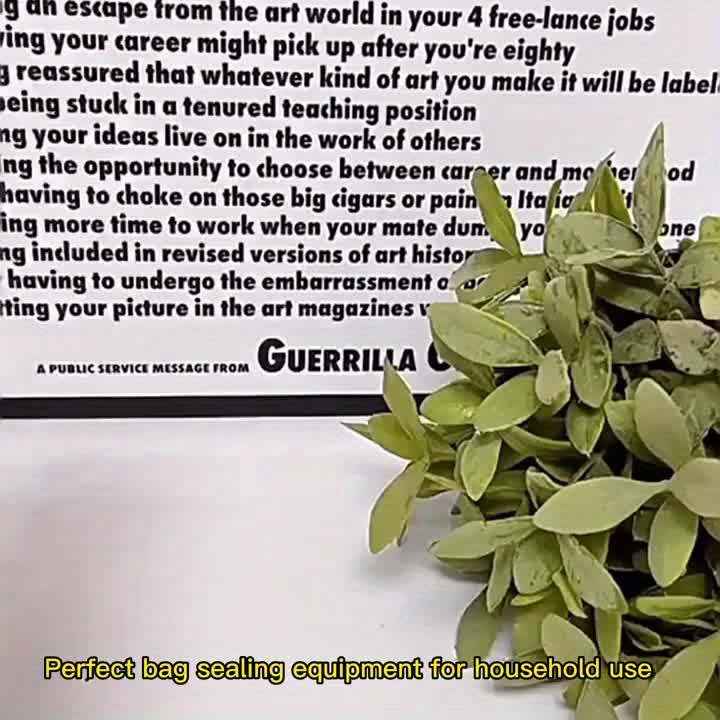Mini Vacuum Food Sealer - Cordless Portable Handheld Device with One-Touch Seal System & Low-Loss Heating Technology in White/Pink