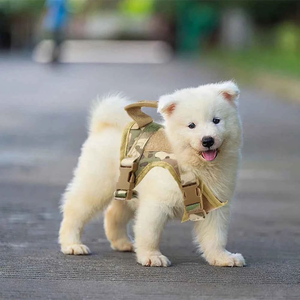 Tactical Cat Harness Adjustable Puppy Vest For Military Small Dogs Harnesses withControl Handle Walking Training Cat Accessories
